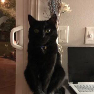 Meet your Posher, Kristi